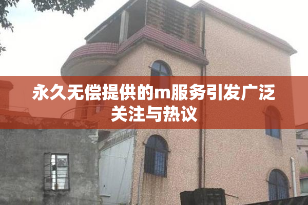永久无偿提供的m服务引发广泛关注与热议
