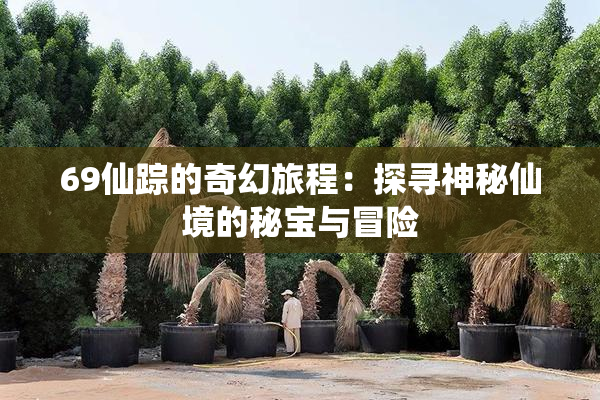 69仙踪的奇幻旅程：探寻神秘仙境的秘宝与冒险