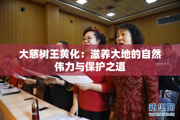 大慈树王黄化：滋养大地的自然伟力与保护之道