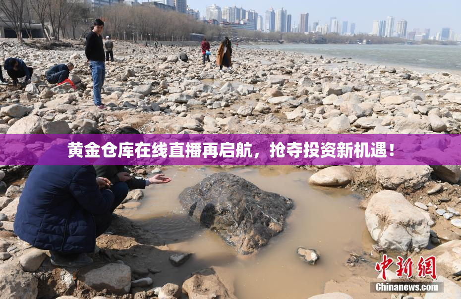 黄金仓库在线直播再启航，抢夺投资新机遇！