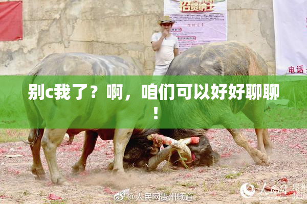 别c我了？啊，咱们可以好好聊聊！