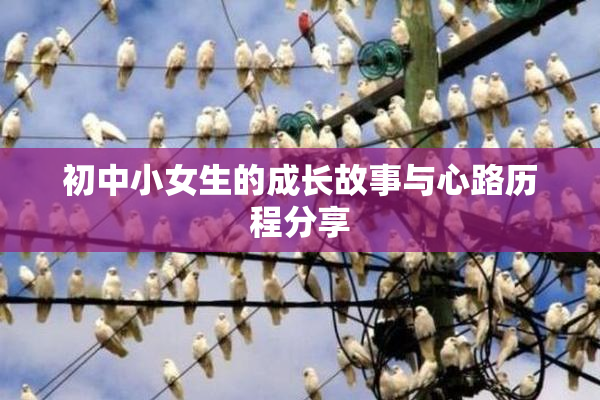 初中小女生的成长故事与心路历程分享