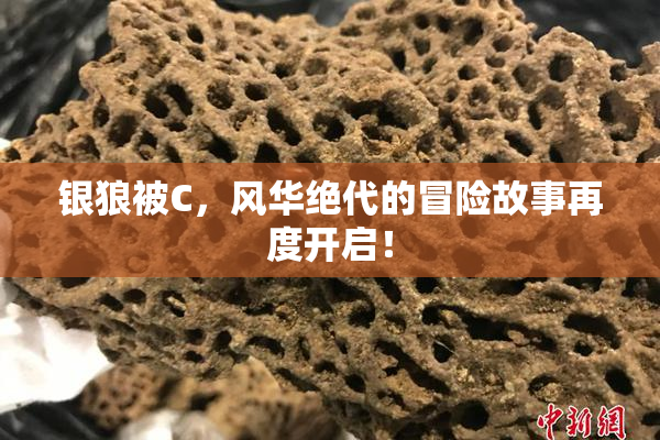 银狼被C，风华绝代的冒险故事再度开启！
