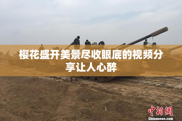 樱花盛开美景尽收眼底的视频分享让人心醉