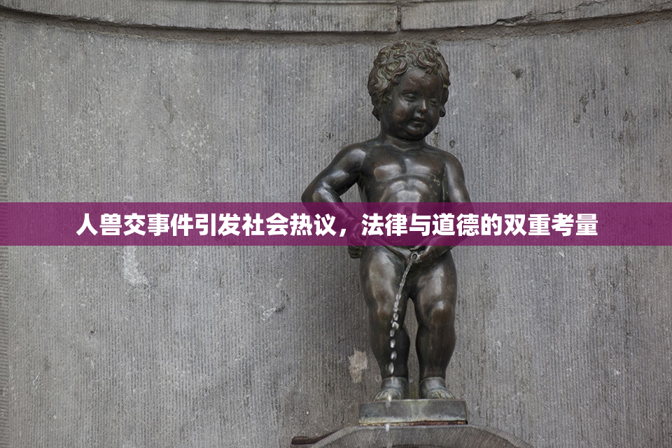 人兽交事件引发社会热议，法律与道德的双重考量