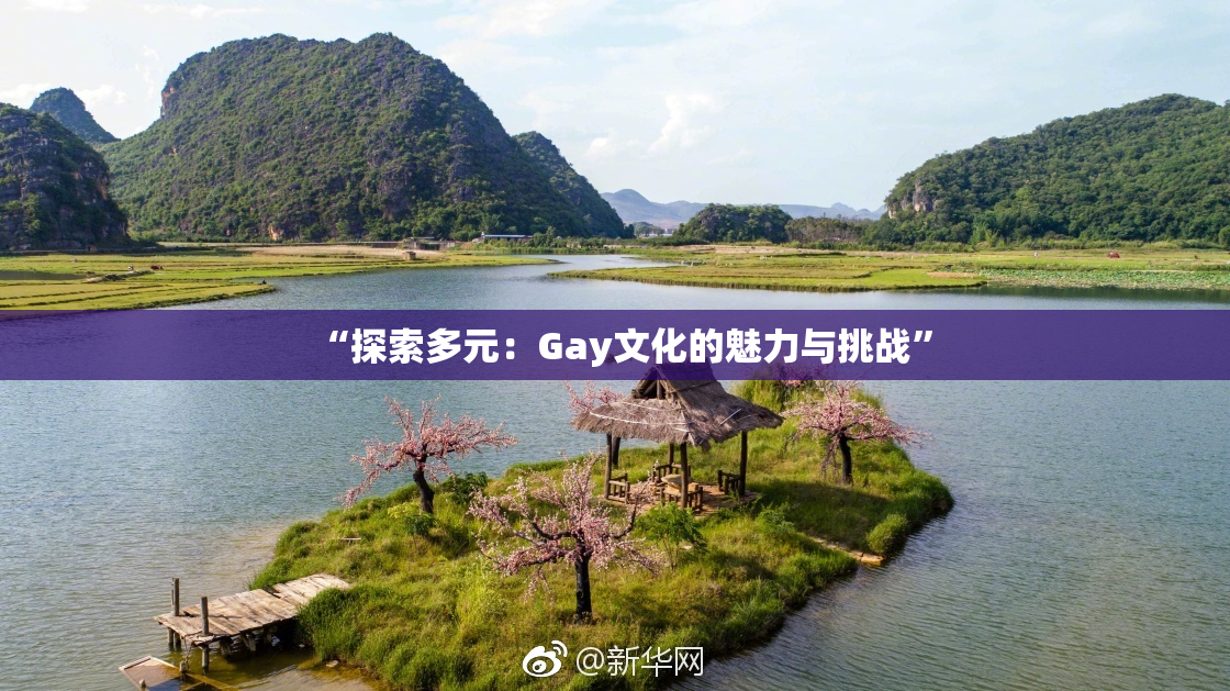“探索多元：Gay文化的魅力与挑战”