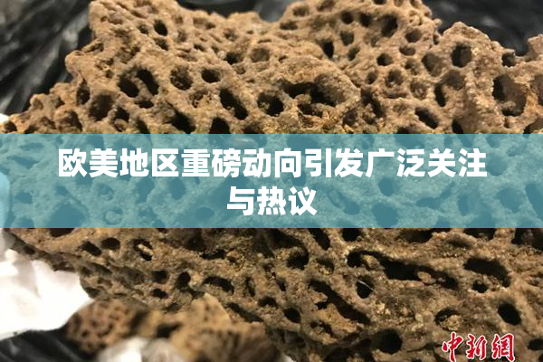 欧美地区重磅动向引发广泛关注与热议
