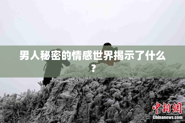 男人秘密的情感世界揭示了什么？