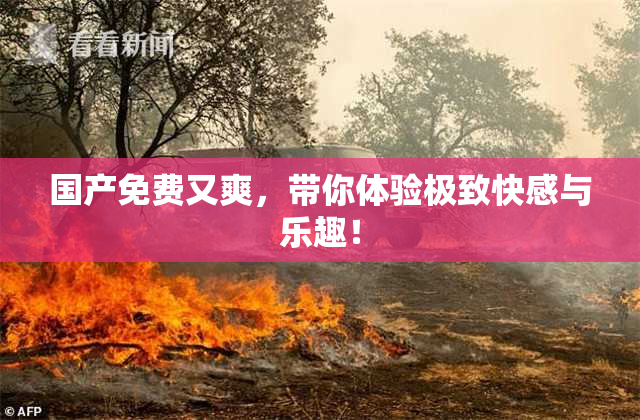 国产免费又爽，带你体验极致快感与乐趣！