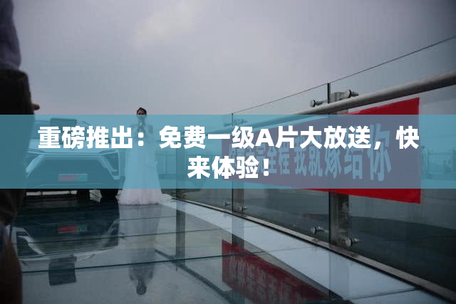 重磅推出：免费一级A片大放送，快来体验！