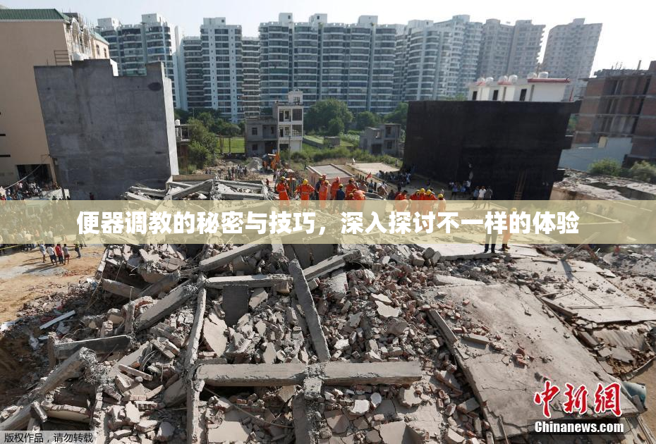 便器调教的秘密与技巧，深入探讨不一样的体验
