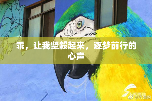 乖，让我坚毅起来，逐梦前行的心声