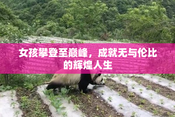 女孩攀登至巅峰，成就无与伦比的辉煌人生