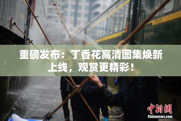 重磅发布：丁香花高清图集焕新上线，观赏更精彩！