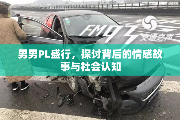 男男PL盛行，探讨背后的情感故事与社会认知