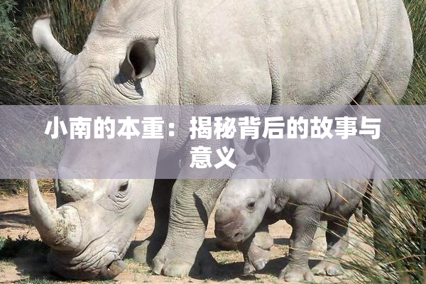 小南的本重：揭秘背后的故事与意义