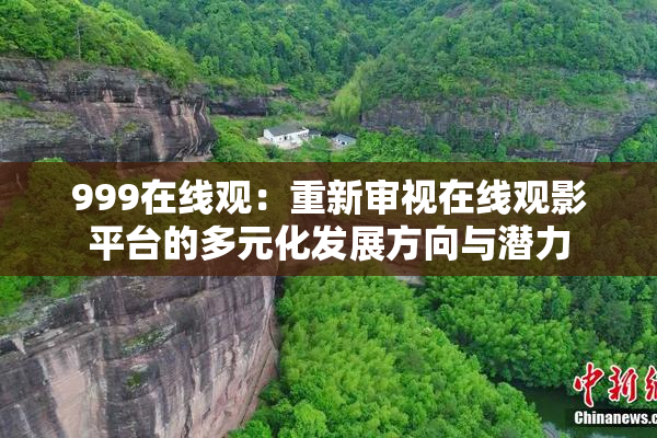 999在线观：重新审视在线观影平台的多元化发展方向与潜力