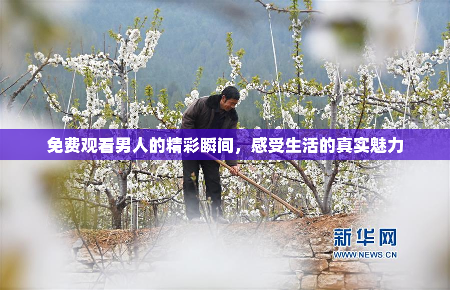 免费观看男人的精彩瞬间，感受生活的真实魅力