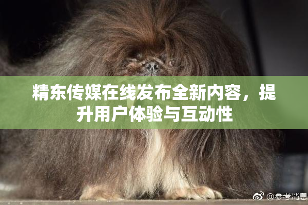精东传媒在线发布全新内容，提升用户体验与互动性