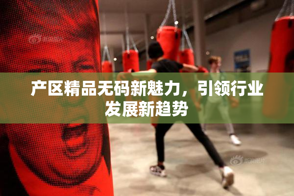 产区精品无码新魅力，引领行业发展新趋势