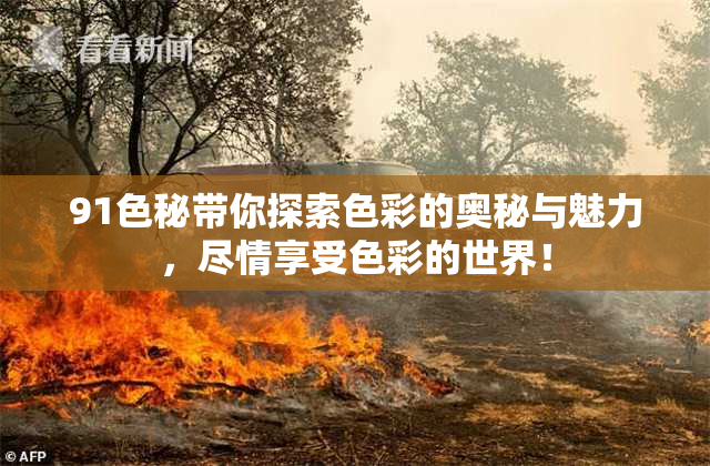 91色秘带你探索色彩的奥秘与魅力，尽情享受色彩的世界！