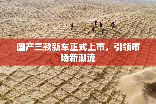 国产三款新车正式上市，引领市场新潮流