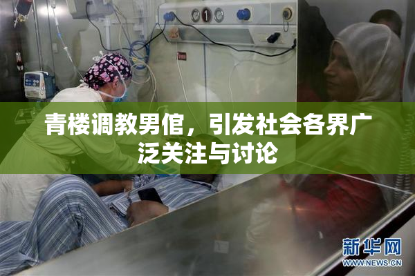 青楼调教男倌，引发社会各界广泛关注与讨论
