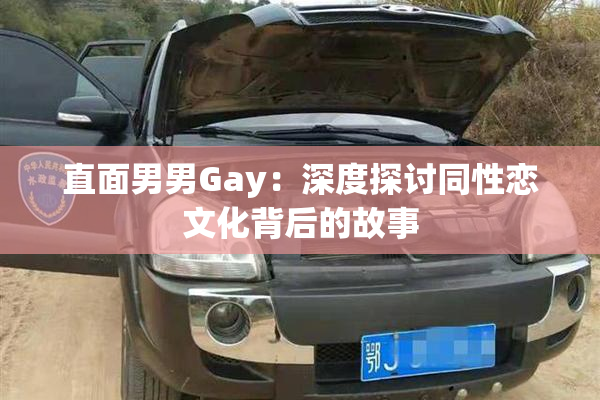 直面男男Gay：深度探讨同性恋文化背后的故事