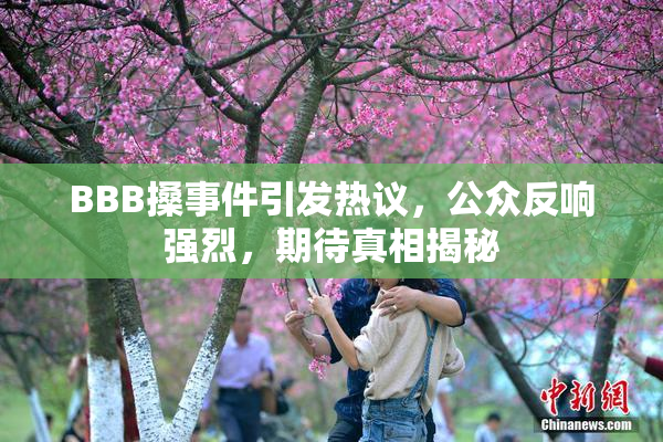 BBB搡事件引发热议，公众反响强烈，期待真相揭秘