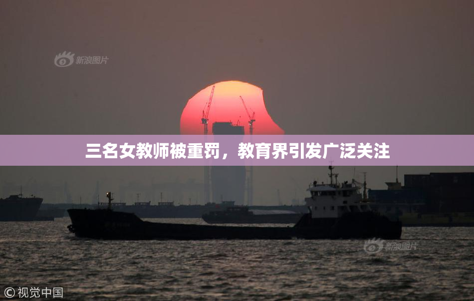 三名女教师被重罚，教育界引发广泛关注