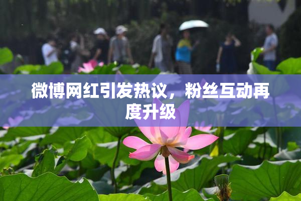 微博网红引发热议，粉丝互动再度升级