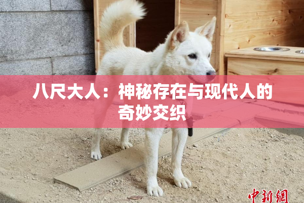 八尺大人：神秘存在与现代人的奇妙交织