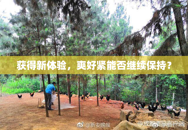 获得新体验，爽好紧能否继续保持？