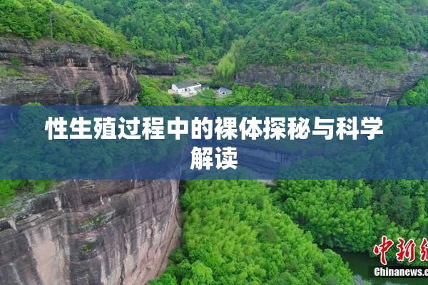 性生殖过程中的裸体探秘与科学解读