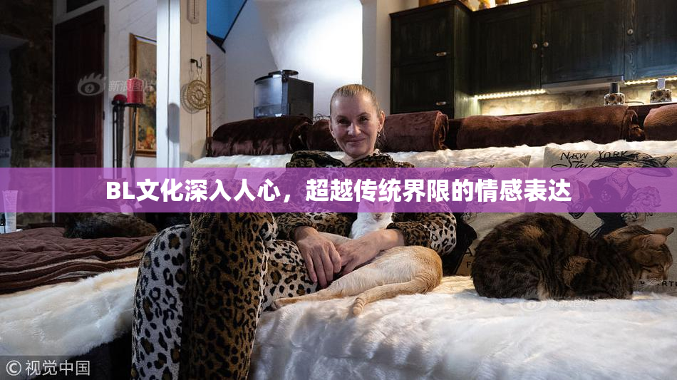 BL文化深入人心，超越传统界限的情感表达
