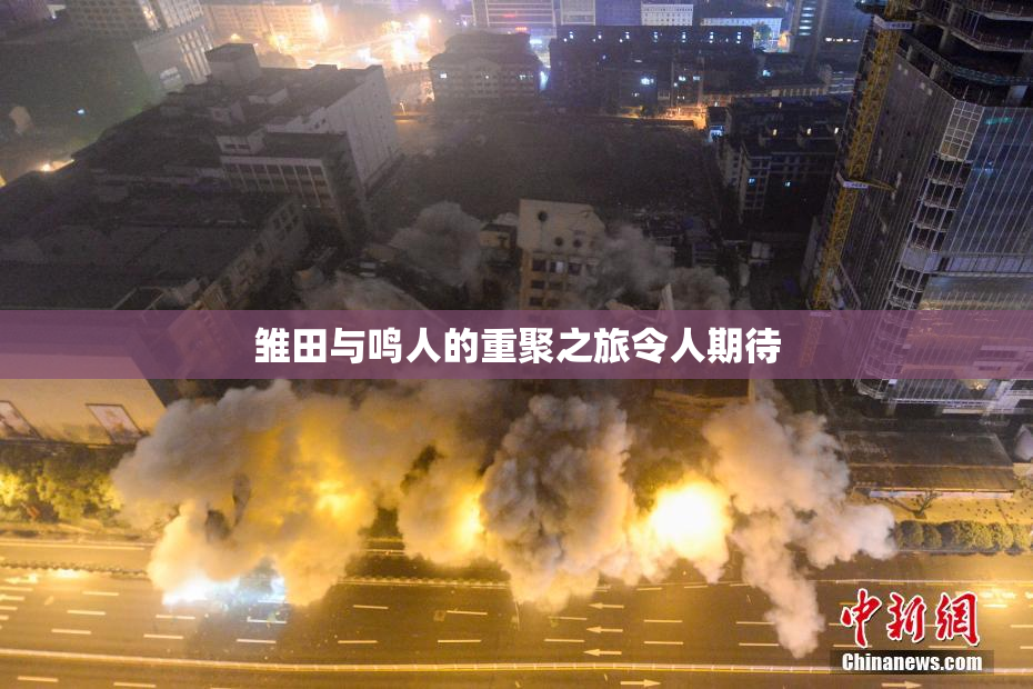 雏田与鸣人的重聚之旅令人期待