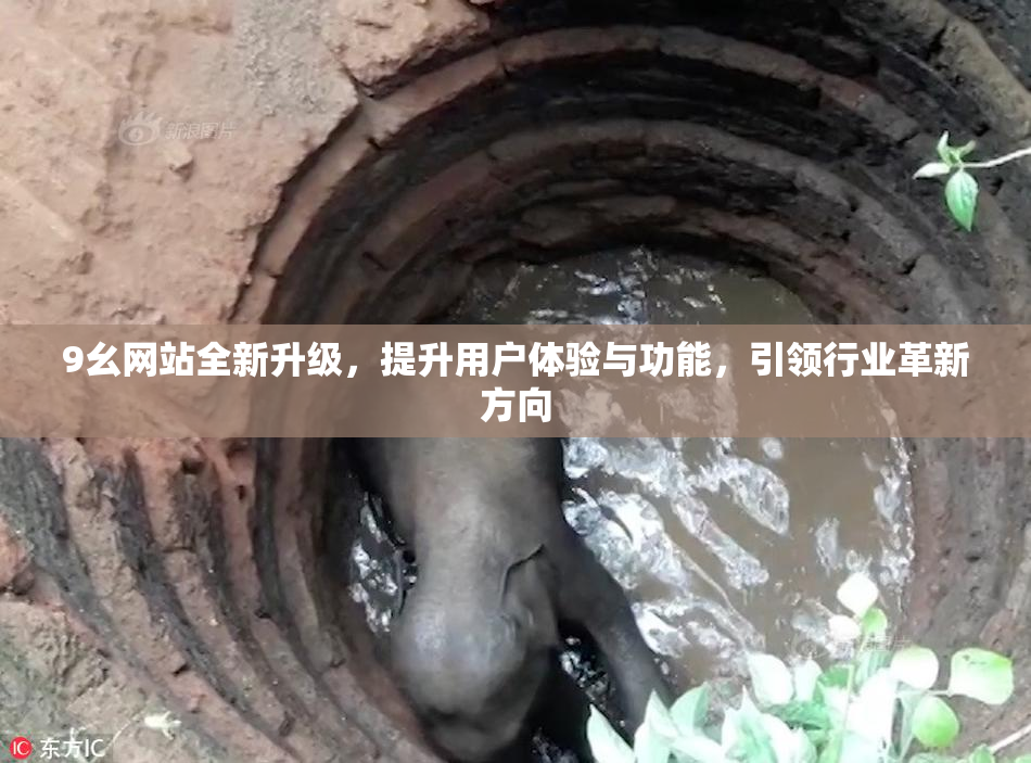 9幺网站全新升级，提升用户体验与功能，引领行业革新方向
