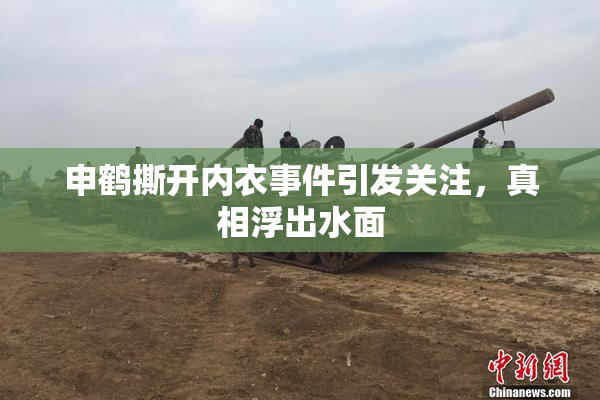 申鹤撕开内衣事件引发关注，真相浮出水面