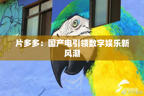 片多多：国产电引领数字娱乐新风潮