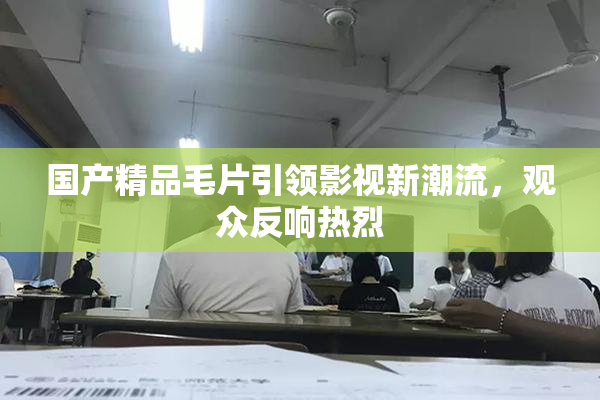 国产精品毛片引领影视新潮流，观众反响热烈