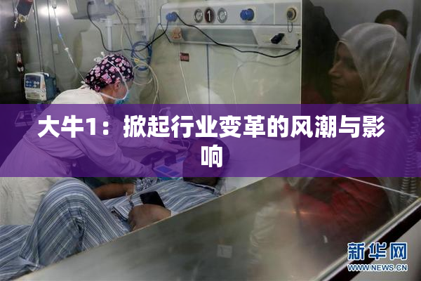大牛1：掀起行业变革的风潮与影响