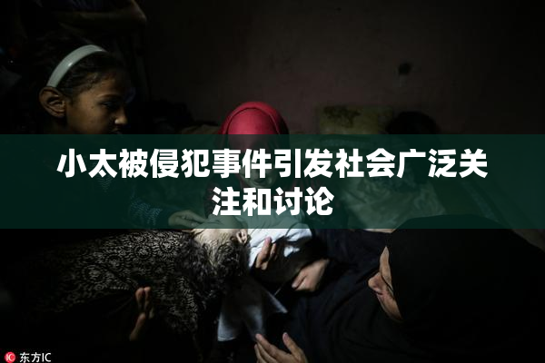 小太被侵犯事件引发社会广泛关注和讨论