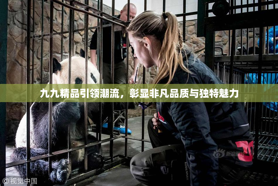 九九精品引领潮流，彰显非凡品质与独特魅力