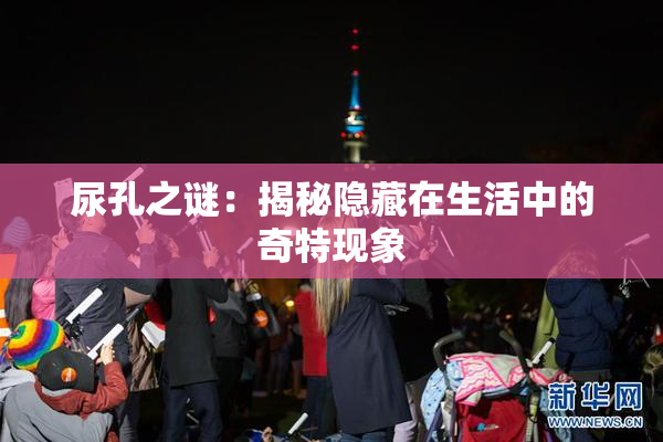 尿孔之谜：揭秘隐藏在生活中的奇特现象