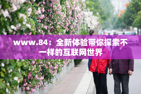 www.84：全新体验带你探索不一样的互联网世界