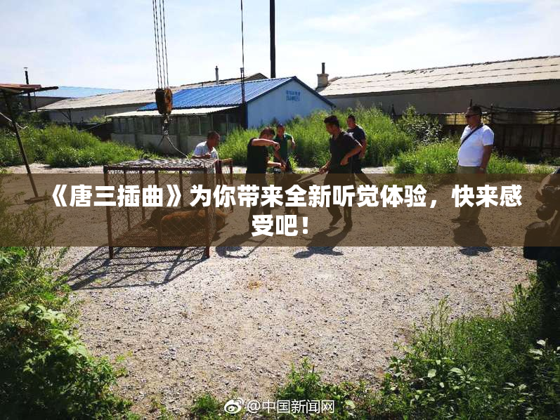 《唐三插曲》为你带来全新听觉体验，快来感受吧！