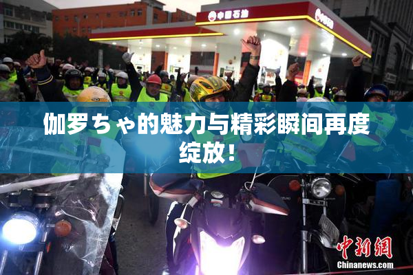 伽罗ちゃ的魅力与精彩瞬间再度绽放！