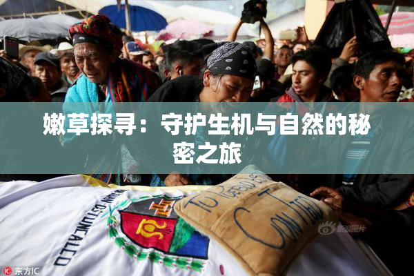 嫩草探寻：守护生机与自然的秘密之旅