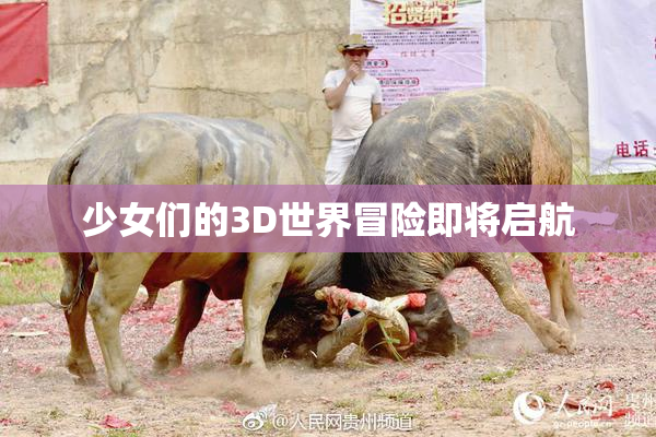 少女们的3D世界冒险即将启航