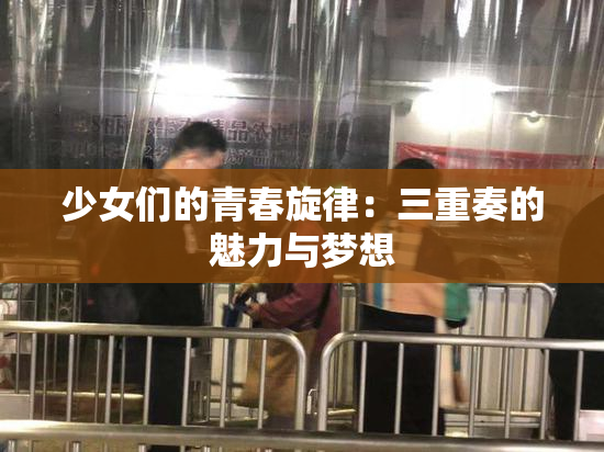 少女们的青春旋律：三重奏的魅力与梦想
